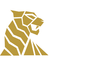 Tiger Spin